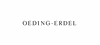 Juwelier Oeding Erdel Inh. Thomas Oeding Erdel e.K.