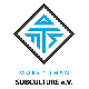 More Than Subculture E.v.