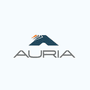 Auria Solutions Straubing GmbH & Co. KG