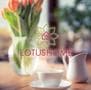 LOTUSLIFE Standort Wandlitz