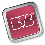 BVB-Verlagsgesellschaft mbH